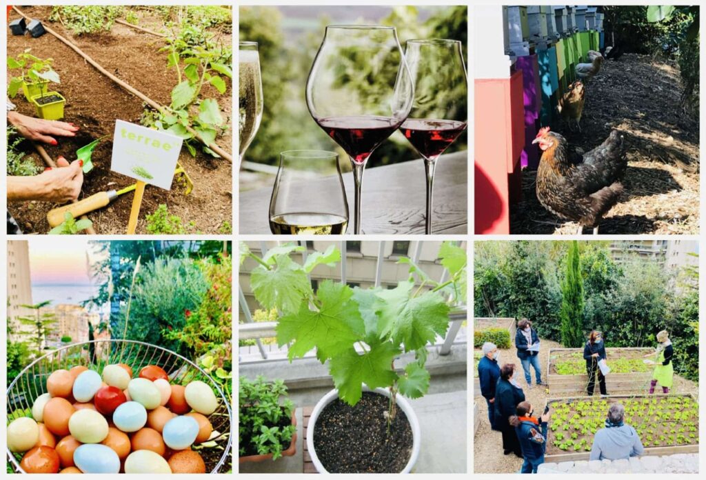 Atelier Wine Party