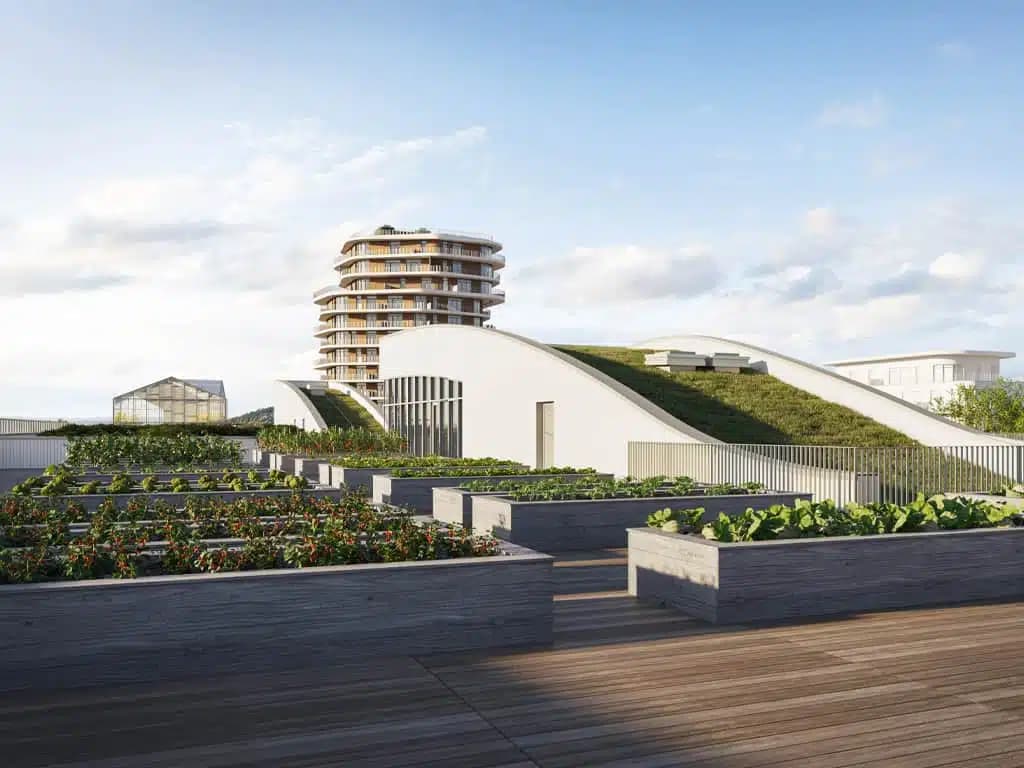 Projet-Tubiz-terrae-monaco